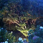 Bed & Breakfast Corti 3*