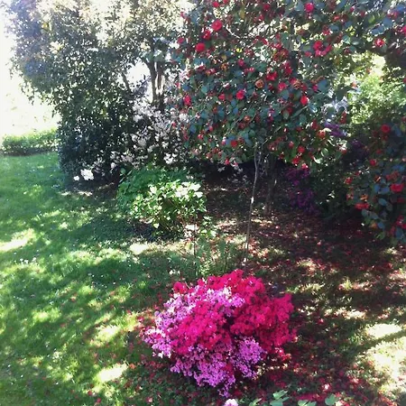 Corti Lakeview Bed & Breakfast *