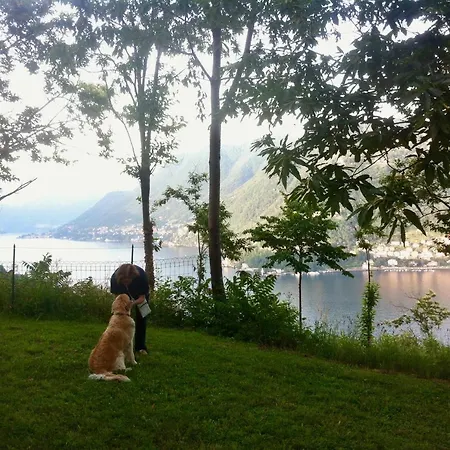 Bed & Breakfast Corti Lakeview Como