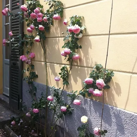 Corti Lakeview Bed & Breakfast