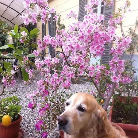 Corti Bed and breakfast Como