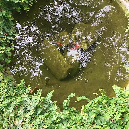 Corti Frühstückspension