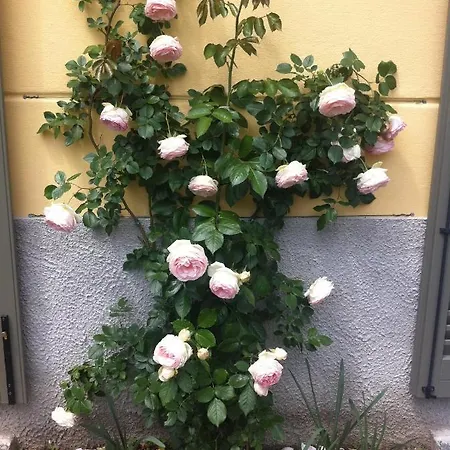 Corti Frühstückspension 3*