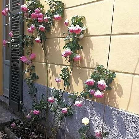 Corti Bed & Breakfast