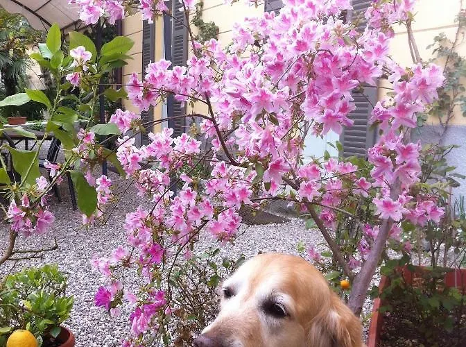 Corti Bed & Breakfast Côme