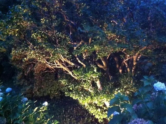 Bed & Breakfast Corti 3*