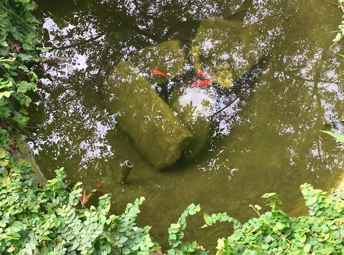 Corti Bed & Breakfast