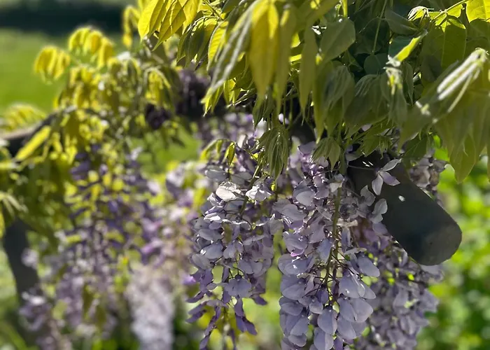 فندق مبيت وإفطار Corti 3*