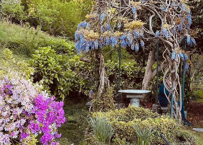 Bed & Breakfast Corti Como