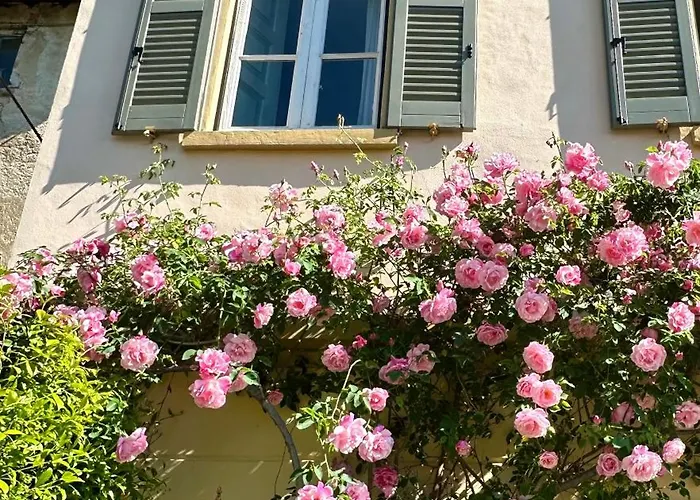 Corti Bed and Breakfast Όπως