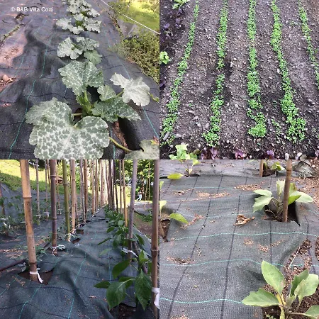 Bed & Breakfast Corti 3*