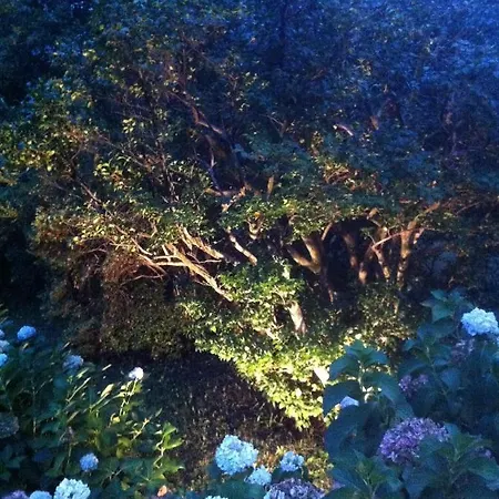 Bed & Breakfast Corti 3*