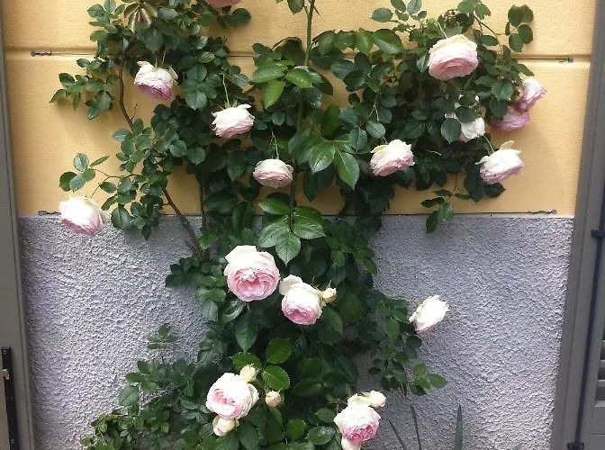 Corti Bed & Breakfast 3*